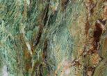 Cut/Polished Opalised Serpentine - Western Australia #64876-3